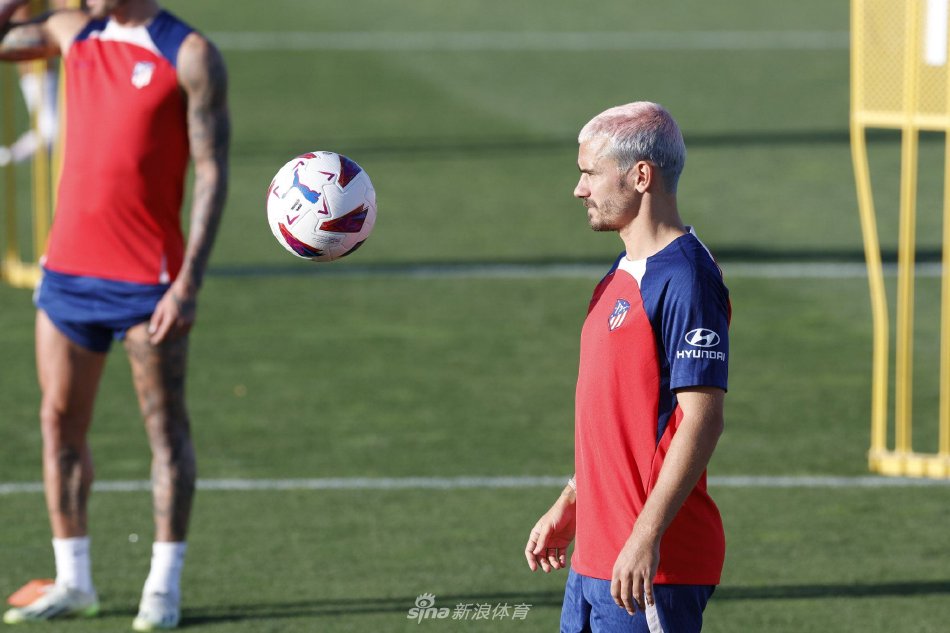 在双方实力 在双方实力